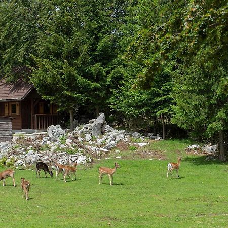 Apartma Vidmar Otlica Ajdovščina Kültér fotó